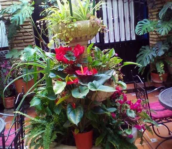 Гостевой дом Arcos Кордова