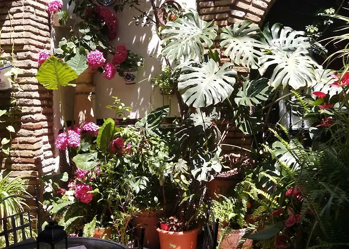 Arcos * Кордова