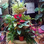 ゲストハウス ペンシオン ロス アルコス コルドバ