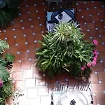 ペンシオン ロス アルコス