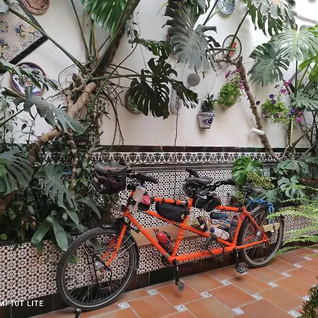 Arcos 게스트하우스 코르도바