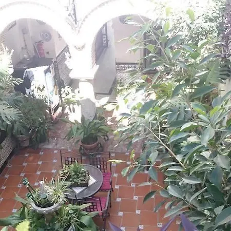 게스트하우스 Arcos 코르도바