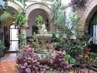 Arcos