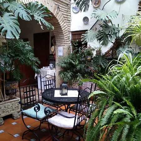 Gæstehus Arcos Córdoba