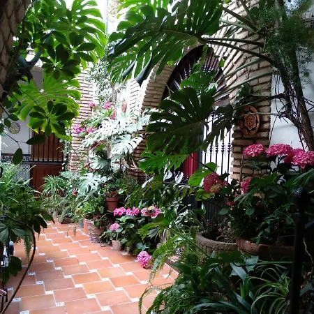 Arcos Gæstehus Córdoba