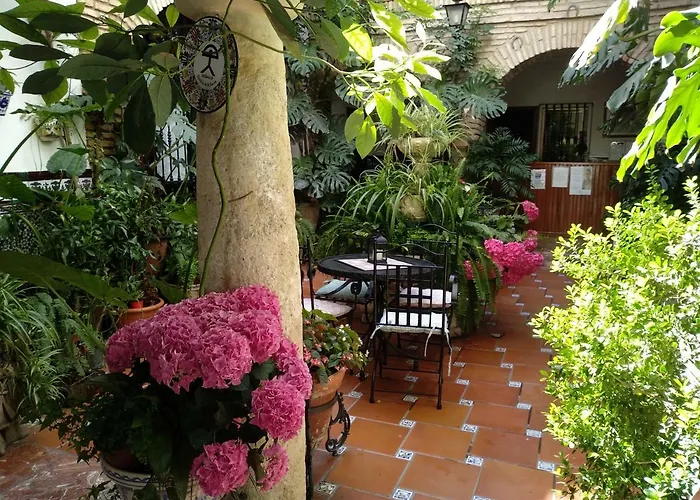 Arcos بيت ضيافة *