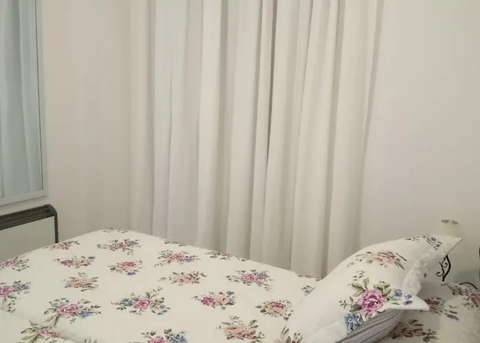 罗斯阿克斯酒店 科爾多瓦