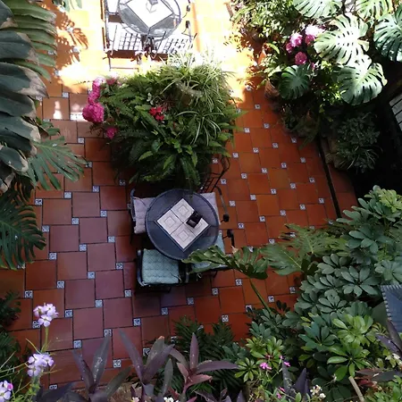 罗斯阿克斯酒店 科爾多瓦