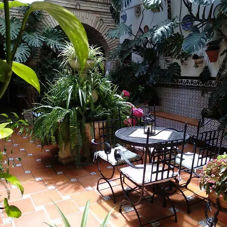 罗斯阿克斯酒店 * 科爾多瓦