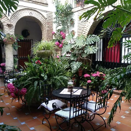 罗斯阿克斯酒店 * 科爾多瓦