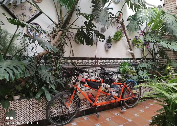 Arcos Gæstehus Córdoba