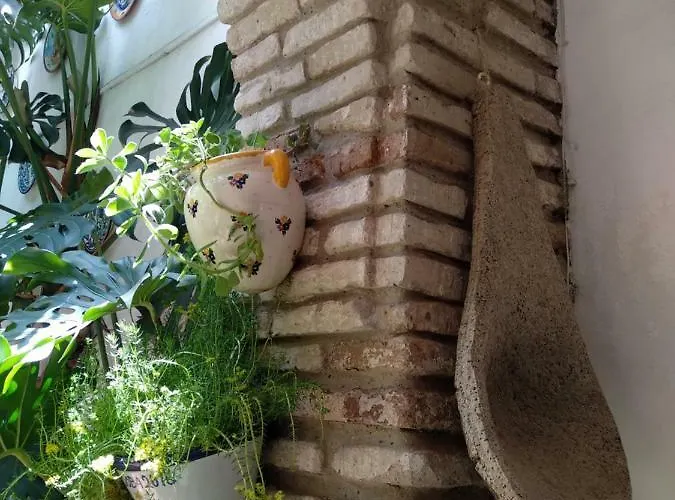 Arcos Gæstehus Córdoba