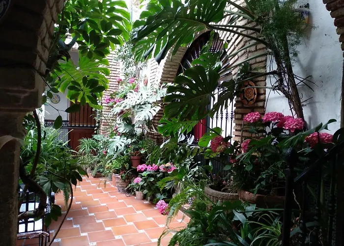 Arcos Pensionat Córdoba