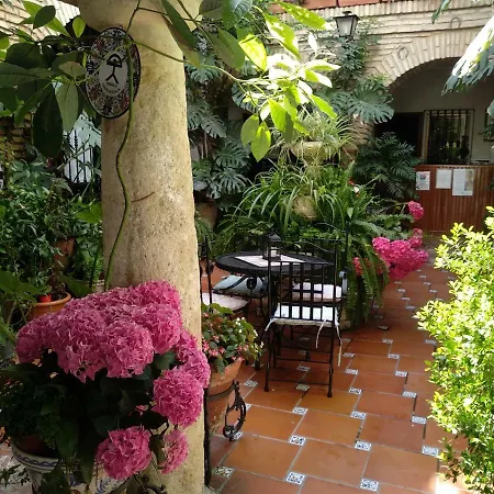 Arcos Гостьовий будинок *